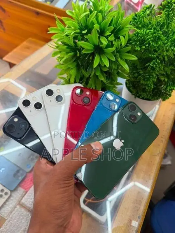 Apple iPhone 13 128GB (Used)