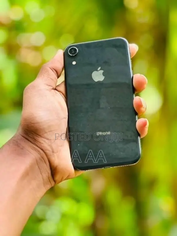 Apple iPhone XR (Used)
