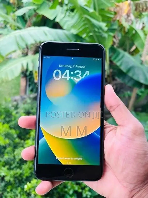 Apple iPhone 8 Plus 256G (Used)