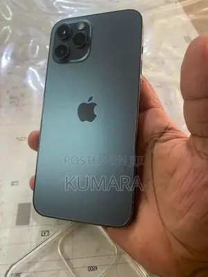 Apple iPhone 12 Pro Max (Used)