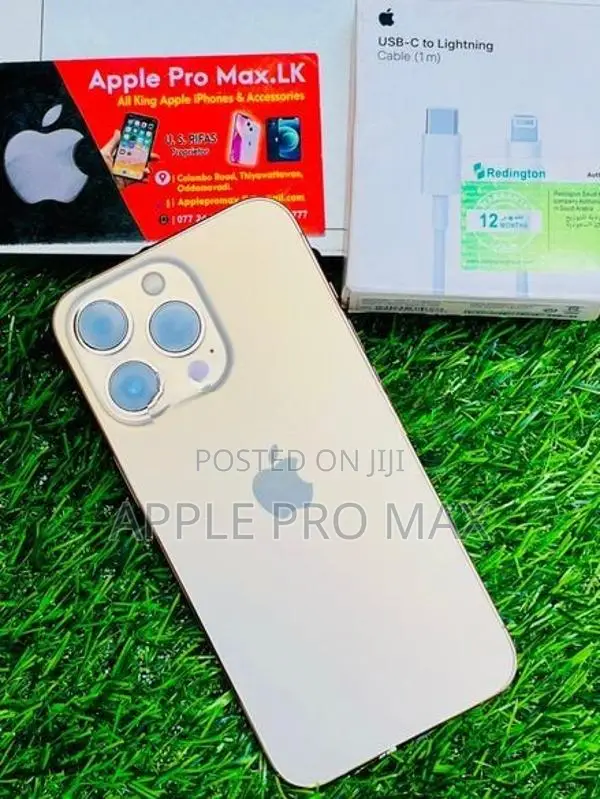 Apple iPhone 13 Pro 256GB (Used)