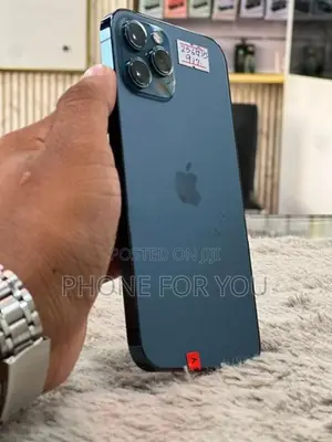 Apple iPhone 12 Pro Max (Used)