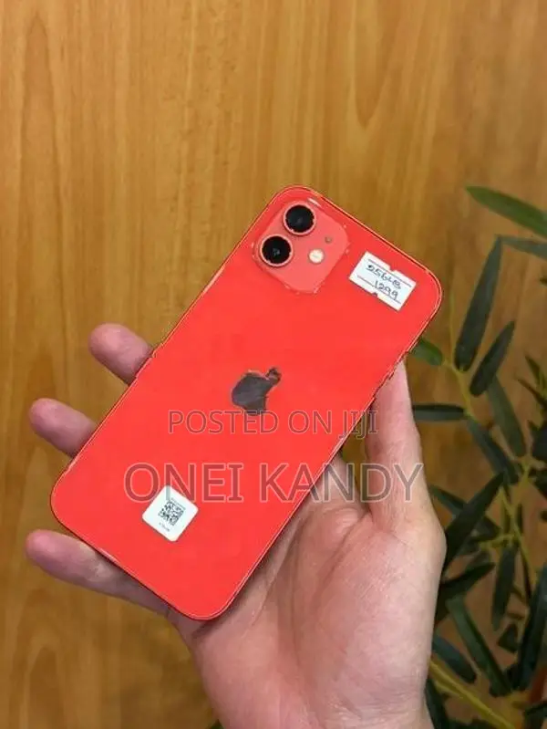 Apple iPhone 12 256GB (Used)