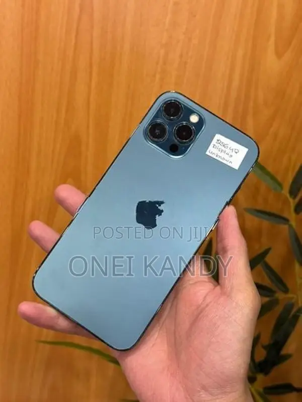 Apple iPhone 12 Pro Max 256GB (Used)