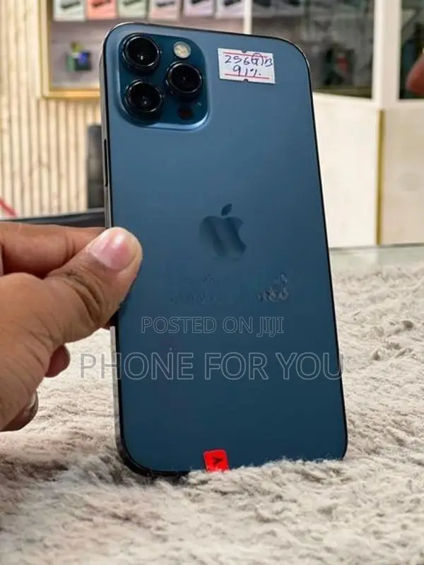 Apple iPhone 12 Pro Max (Used)