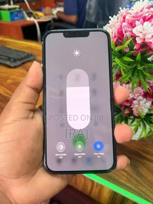 Apple iPhone 13 256 GB (Used)