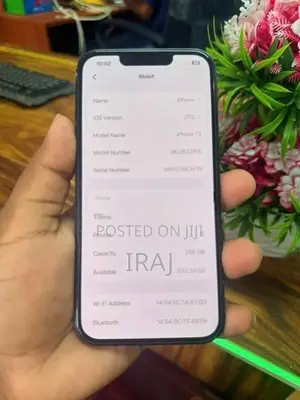 Apple iPhone 13 256 GB (Used)