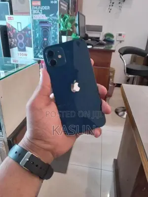 Apple iPhone 12 (Used)