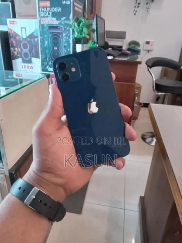 Apple iPhone 12 (Used)