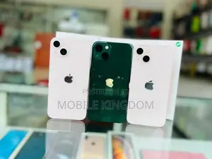 Apple iPhone 13 128GB (Used)