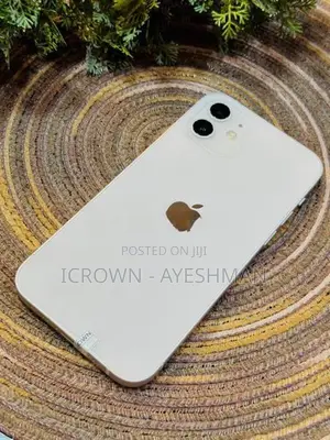 Apple iPhone 12 256GB (Used)