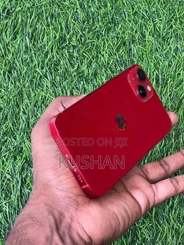 Apple iPhone 13 (Used)