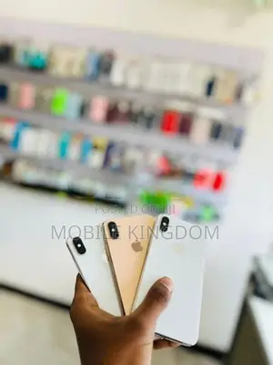 Apple iPhone XS Max 256GB Fullset (Used)