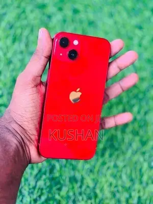 Apple iPhone 13 (Used)