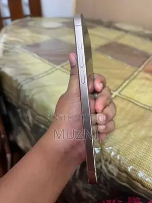 Apple iPhone 16 Pro Max (Used)