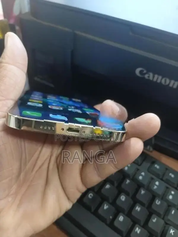 Apple iPhone 12 Pro Max (Used)