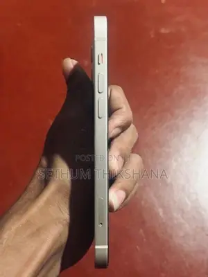 Apple iPhone 12 (Used)