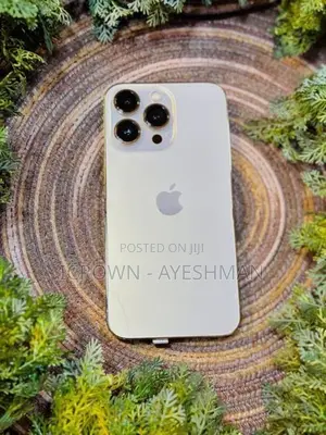 Apple iPhone 13 Pro 128GB (Used)