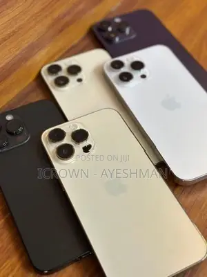 Apple iPhone 14 Pro Max 256GB (Used)