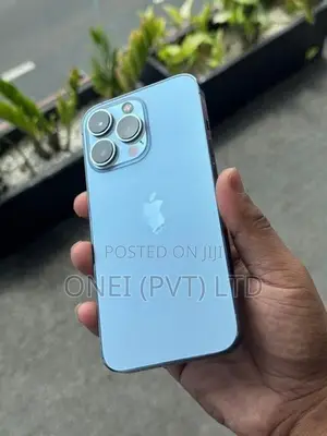 Apple iPhone 13 Pro 256GB (Used)