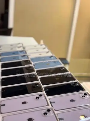Apple iPhone 12 (Used)