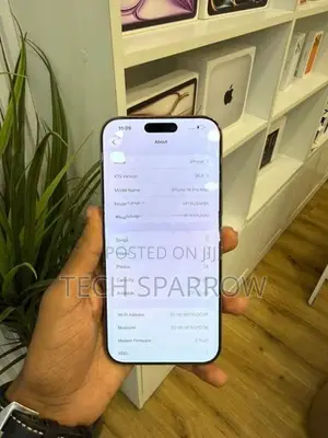 Apple iPhone 16 Pro Max 256GB (Used)