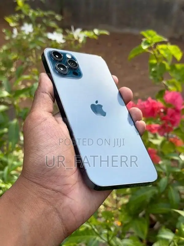 Apple iPhone 12 Pro Max (Used)