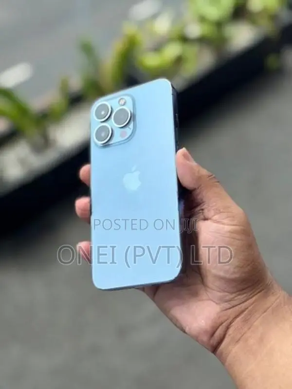 Apple iPhone 13 Pro 256GB (Used)