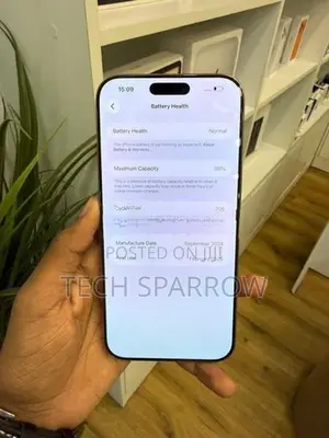 Apple iPhone 16 Pro Max 256GB (Used)