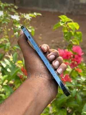 Apple iPhone 12 Pro Max (Used)