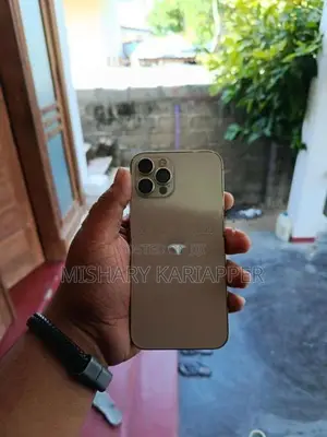 Apple iPhone 12 Pro (Used)