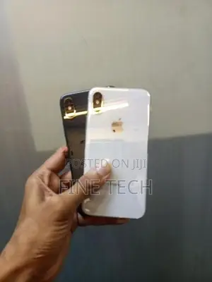 Apple iPhone X 256gb (Used)
