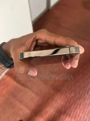 Apple iPhone 13 Pro Max (Used)