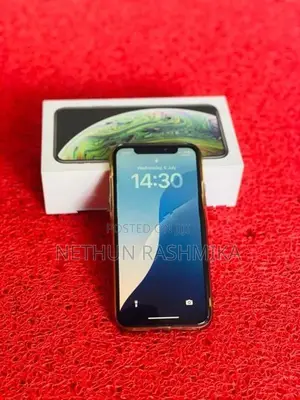 Apple iPhone XS 256GB (Used)