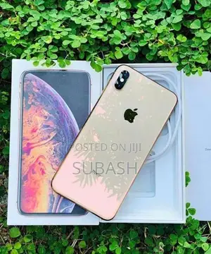 Apple iPhone XS Max 256GB (Used)