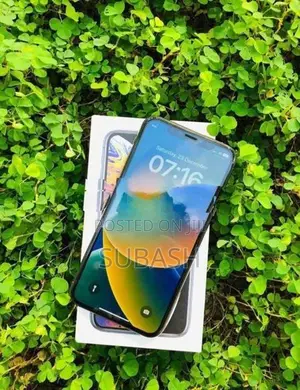 Apple iPhone XS Max 256GB (Used)