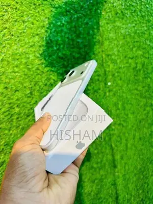 Apple iPhone 17 Pro Max 256GB (Used)