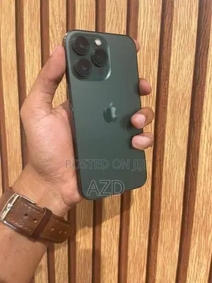 Apple iPhone 13 Pro 256GB (Used)