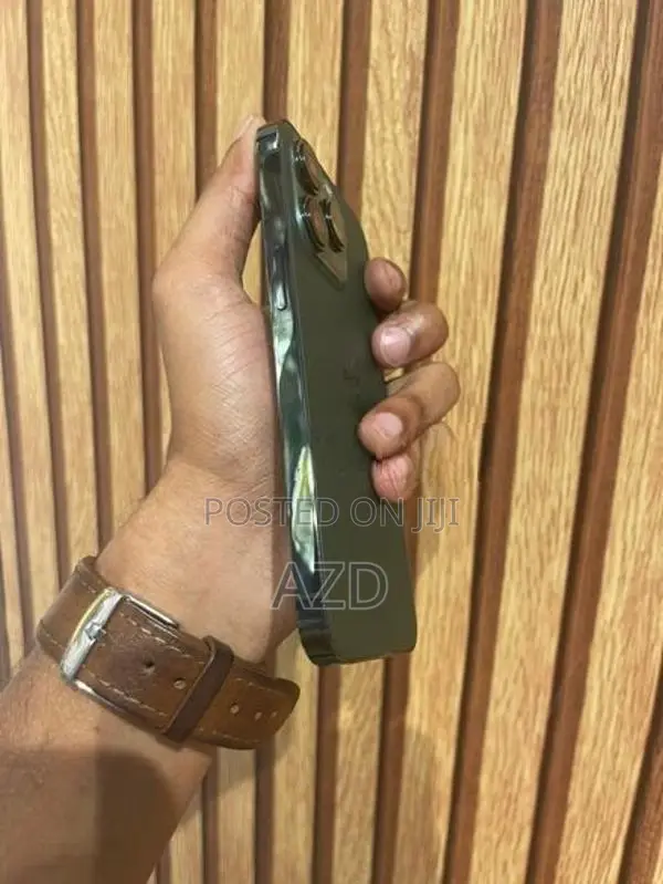 Apple iPhone 13 Pro 256GB (Used)