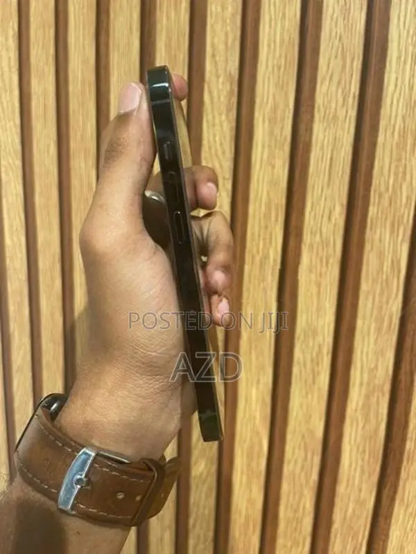 Apple iPhone 13 Pro 256GB (Used)