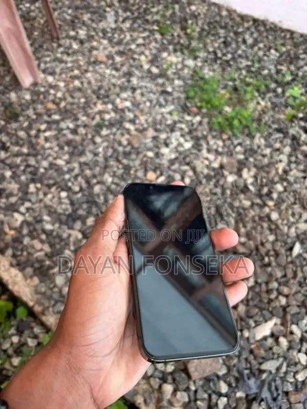 Apple iPhone 13 Pro (Used)