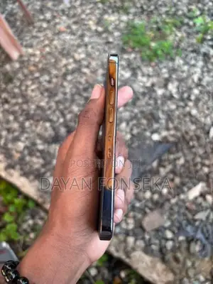 Apple iPhone 13 Pro (Used)