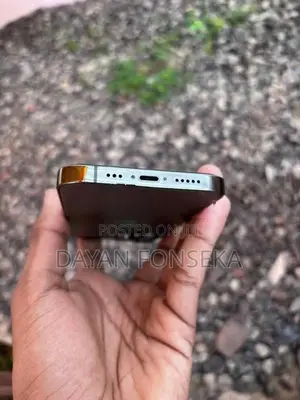 Apple iPhone 13 Pro (Used)