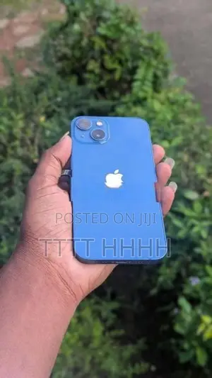 Apple iPhone 13 (Used)