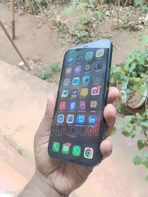 Apple iPhone 12 Pro Max 256GB (Used)