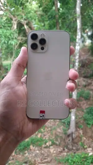 Apple iPhone 12 Pro (Used)