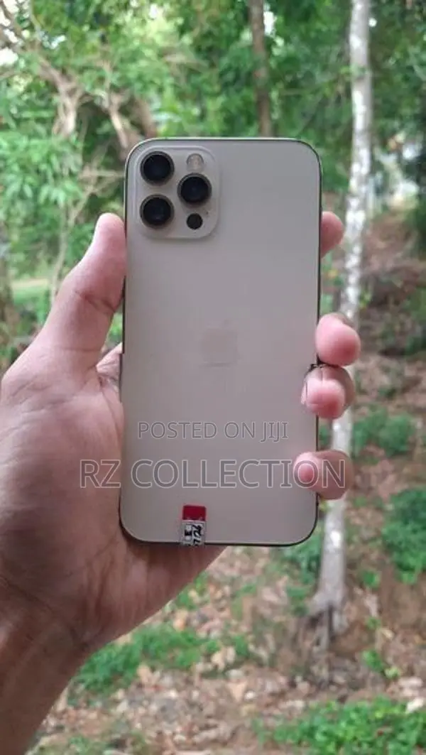 Apple iPhone 12 Pro (Used)