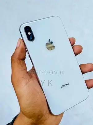 Apple iPhone X 256Gb (Used)