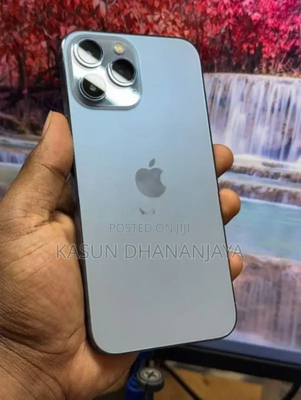 Apple iPhone 13 Pro Max (Used)
