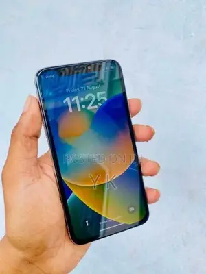 Apple iPhone X 256Gb (Used)